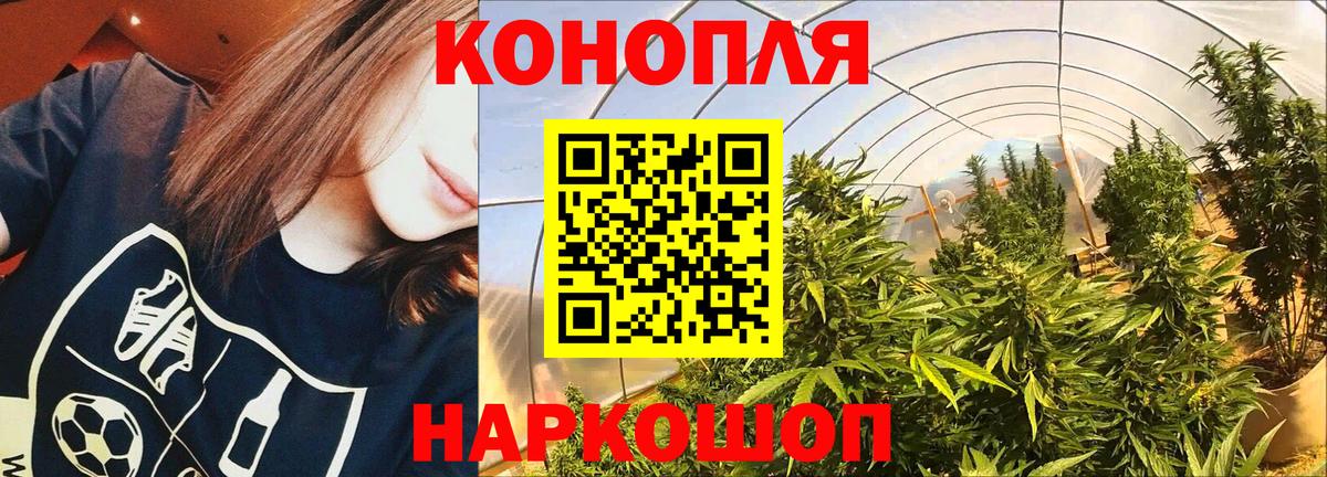 Канабис планчик  Бошки Шишки AK-47  Каннабис ГИДРОПОН  Шатура  Вход с VPN 